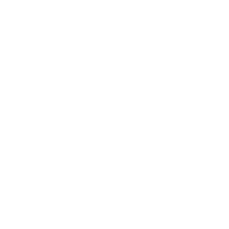 Logo animasi PXTNATION